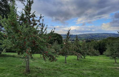 The Hen Den - Foto 30