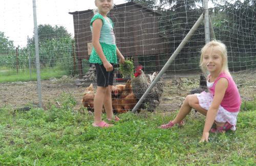 Agroturystyka Borówka - Foto 22