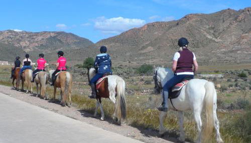 Apartamento encantador - Foto 5