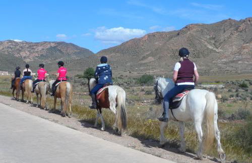 Apartamento encantador - Foto 5