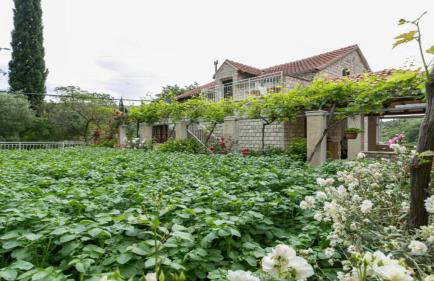 Apartment Klepo - Foto 31