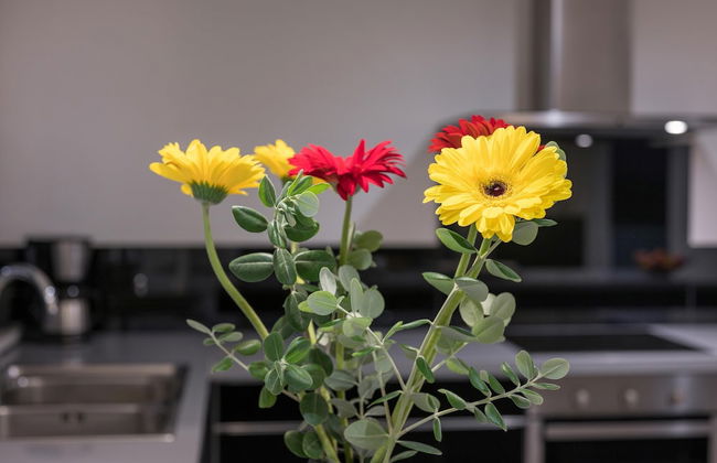 Spring Apartments - Foto 54