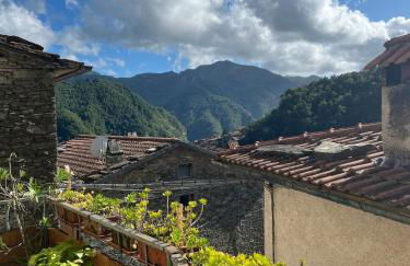 Alloggio nel Parco Alpi Apuane - Carnevale di Viareggio - Foto 14