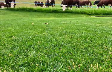 Maison Le Cré Appartamento 2 - Foto 36