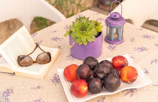 Apartment Santa - Foto 33