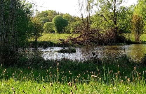 Les Clés Nature - Foto 19