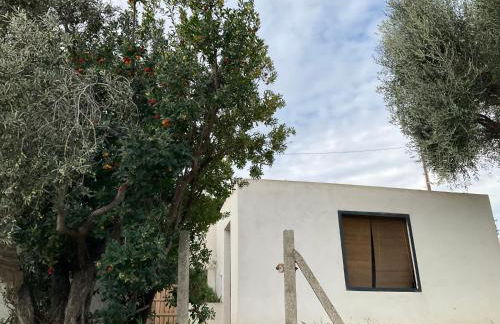 Maison avec vue mer et jacuzzi à 15 mn du centre - Foto 6
