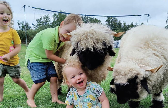 Holiday Home in Ruinerwold With Garden - Photo 10