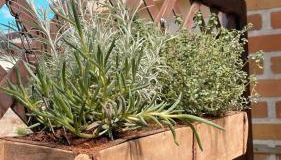 Ferienwohnungen Weise im Lausitzer-Seenland - Foto 3