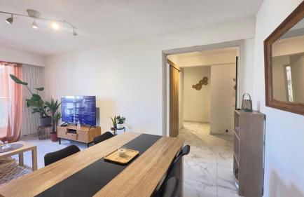 Grand 2 pièces avec grande terrasse à 15mn Centre-ville, Gare et Promenade des Anglais - Foto 14