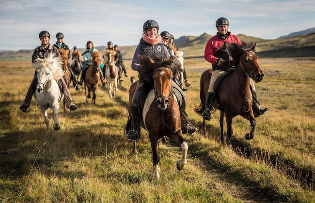 Hestasport Cottages - Foto 66