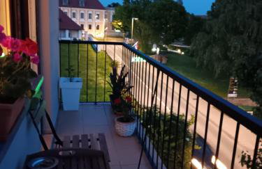 Apartman Dunav - Foto 32