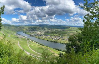 Ferienwohnung Moselblümchen Amelie - Foto 15