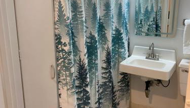 Lovely Micro Studio Apartment in Downtown Gadsden - Photo 5, Shower