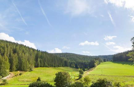 Haus Zum Sternen - Photo 9