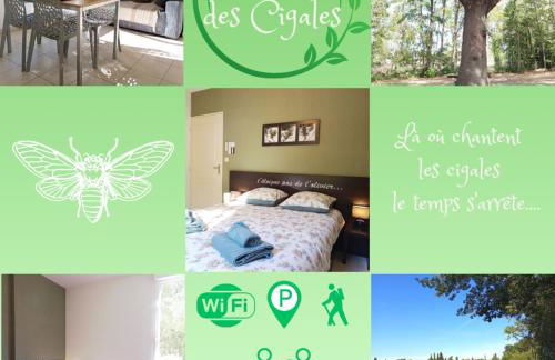 Le Chant des Cigales - Foto 5