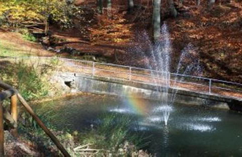 Ferienwohnung Panorama - Foto 43