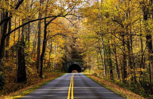 Fire Pit, Grill, and Views Cashiers Getaway! - Foto 41