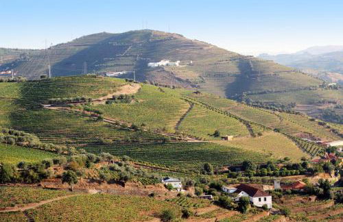 Quinta da Pitarrela - Foto 20