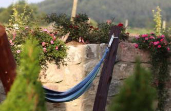 Lawendowy Raj - Foto 71