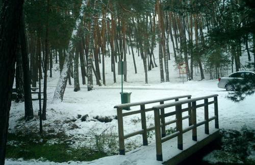 Fuente del Pino Cañón de Río Lobos - Foto 48