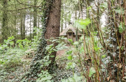 The Cottage at Graysondale Farm - Foto 25