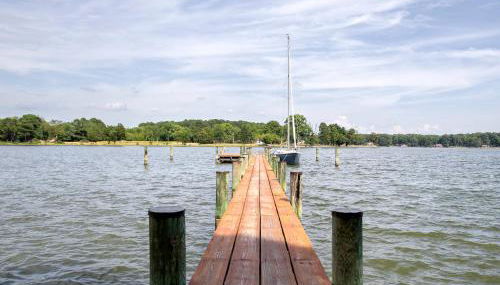 Swan Hollow - Foto 2