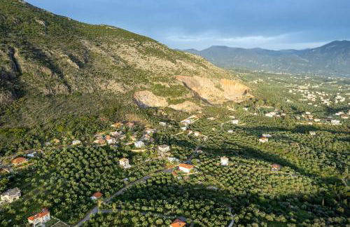 Hill House - Foto 10