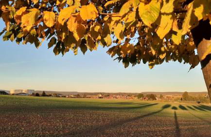Stilvolle Ferienwohnung im Eichsfeld - Foto 44