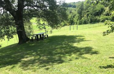 Casa vacanze Ca' del Poggio - Foto 6