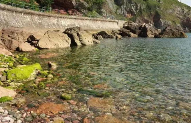 Lovely Stunning 2-bed Cottage in Torquay - Foto 33