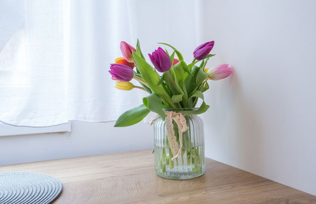 Thomas Residence - Photo 7