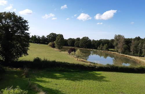 Gite La Volière Ouverte - Foto 4