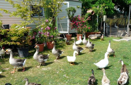 Agriturismo Dolce Luna - Foto 62