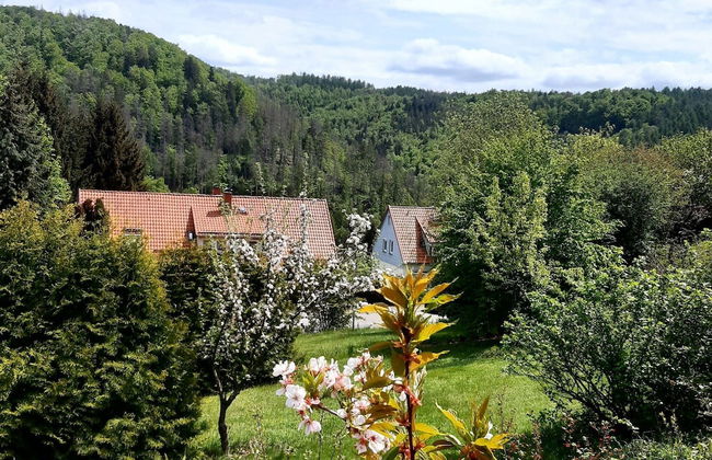 Ferienhaus , Wieda - Foto 45