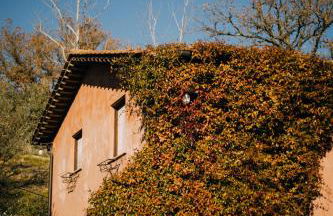 Borgodoro - Natural Retreat - Foto 57