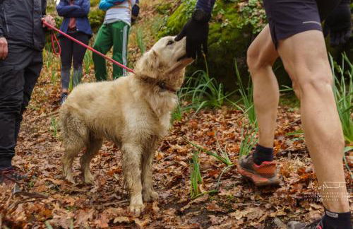 Azenha da Lavoura em Barrega - Foto 69