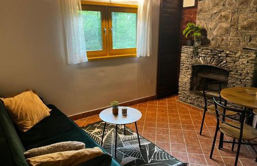 Party and vacation house Amigo - Photo 9