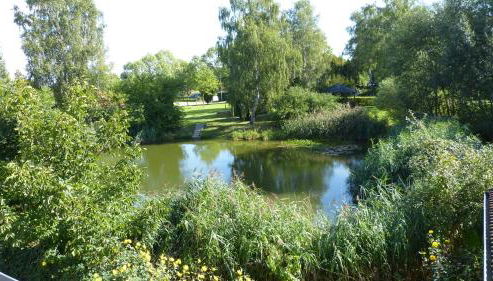 FeWo Dreiseitenblick - Foto 2, Garden