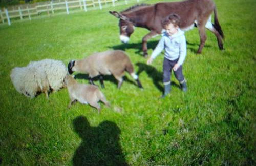 Cabane avec jacuzzi privatif et accès à ferme pédagogique - FR-1-410-459 - Photo 12