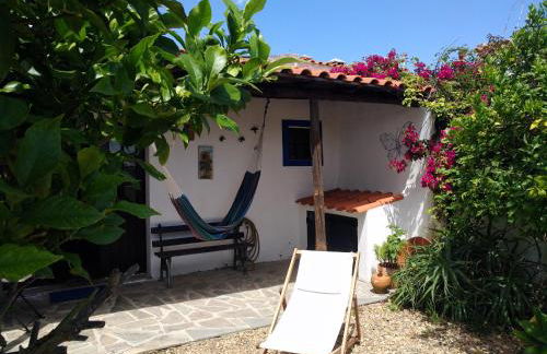 Casa da Tia Luísa - Foto 1