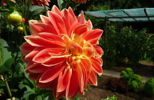 Ferienhaus Gartenlust - Foto 7