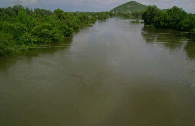 Passeio de barco pelo rio Fuerte - Foto 6