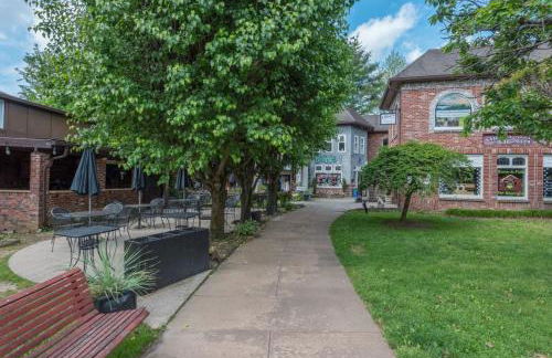 Almost Bearadise - Foto 37