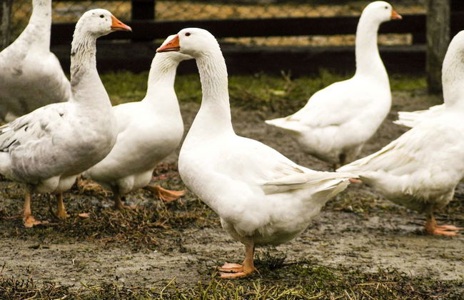 Agriturismo Arte Contadina - Photo 22