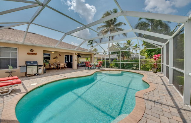 House Palm Tree by Vacationhit - Foto 30