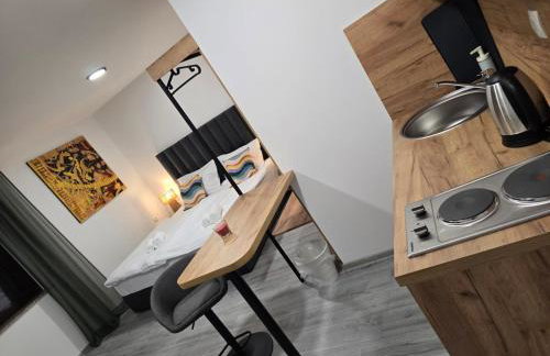 Skitnica U Prolazu - Photo 32