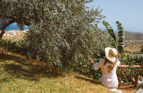 Calàmi - Villa Romeo - Private Apartments with Pool, Seaview & Olive Grove - Foto 31