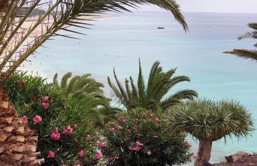 Holamigos Morro Jable - Foto 46