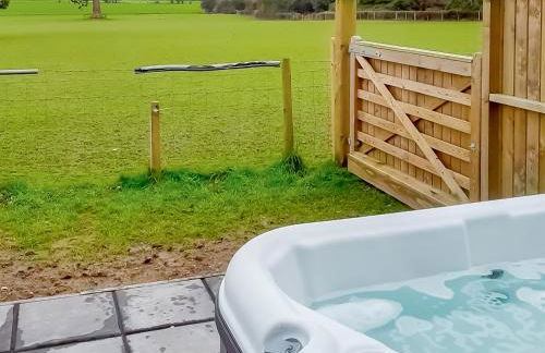 Brynog Mansion Apartment - Foto 23